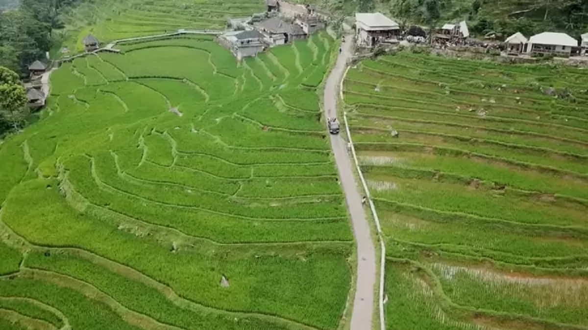 Pesona Alam Perbukitan dengan Jalan Setapak dan Pemandangan Luas yang Bikin Hati Adem